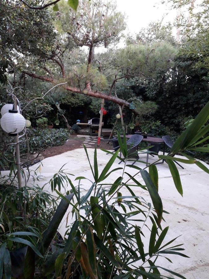 Jardin Et Bambous, Studio Cosy, Classe 2 Etoiles Marseillan  Exterior photo
